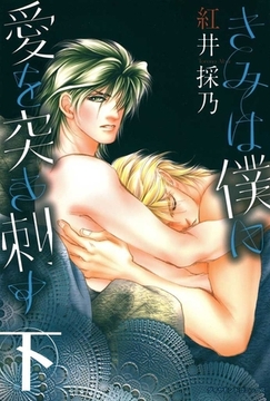 きみは僕に愛を突き刺す下 [松文館]