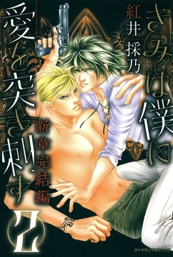 きみは僕に愛を突き刺す　新章完結編2 [松文館]