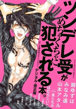 ツンデレ受がめちゃくちゃに犯される本。【デジタル・修正版】 [リブレ]