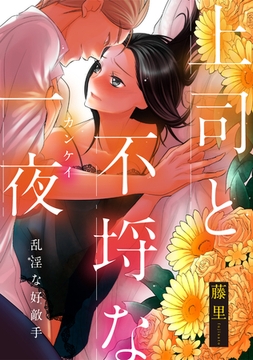 乱淫な好敵手 上司と不埒な一夜 [コンパス]