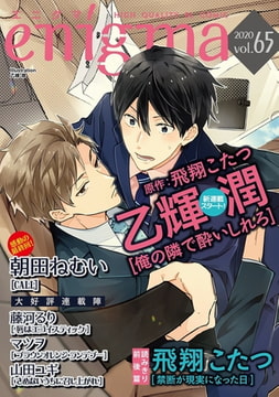 enigma vol．65 [オークラ出版]