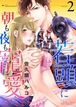 若頭に匿われて朝も夜も寵愛うけてます 2 [シーモアコミックス]