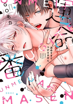 運命すぎてつがえません【電子限定かきおろし付】 [リブレ]