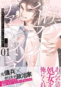 僕のパーフェクト・ヴァージンキラー1 [メディアソフト]