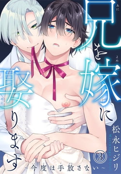 兄を嫁に娶ります～今度は手放さない～ 3巻 [秋水社ORIGINAL]