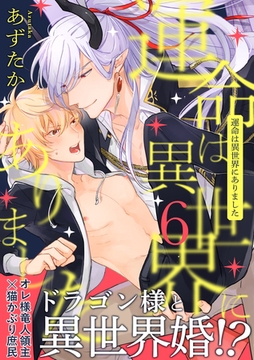 運命は異世界にありました６ [メディアソフト]