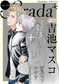 Strada＋ vol.16 [道玄坂書房]
