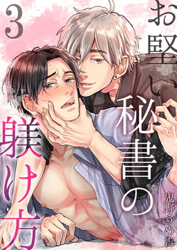 お堅い秘書の躾け方 3 [STDパブリッシング]