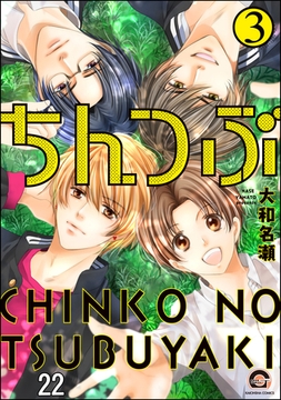 ちんつぶ（分冊版）　【第22話】 [海王社]