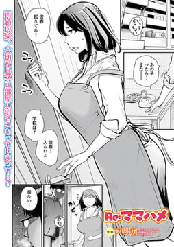 Re:ママハメ [一水社]