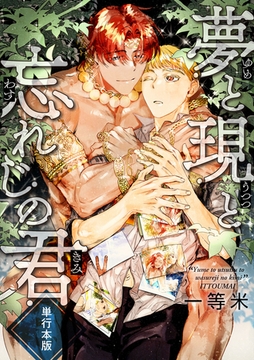 夢と現と忘れじの君【単行本版】 [macaronRINX]