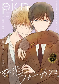 comic picn vol.17 [ジーオーティー]