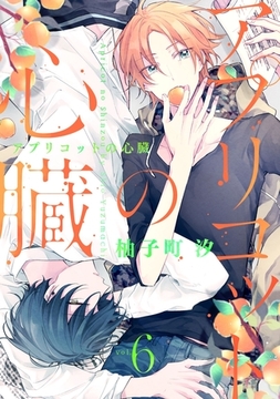 アプリコットの心臓 vol.6 [メディアソフト]
