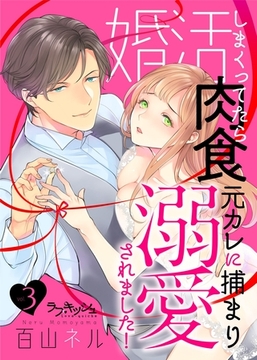 婚活しまくってたら肉食元カレに捕まり溺愛されました！3 [メディアソフト]