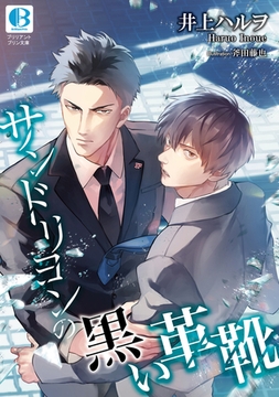 サンドリヨンの黒い革靴 [SNP]