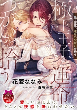 極上王子、運命のつがいを拾う [プランタン出版]