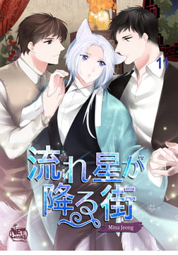 流れ星が降る街11 [SNP]