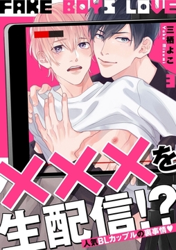 FAKE BOYS LOVE3 [メディアソフト]