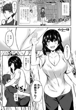 田舎に泊まろう [辰巳出版]