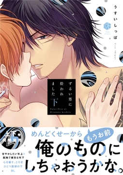 ずるい男に拾われました 下【電子限定漫画付き】 [ブライト出版]