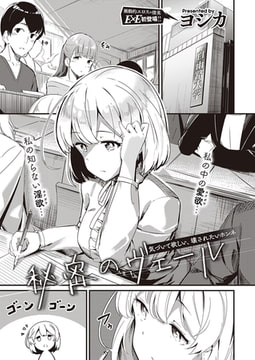 秘密のヴェール [ジーオーティー]