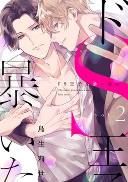 ドS王子を暴いたら2 [メディアソフト]