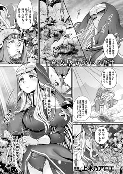 蠢衣聖女のいる街【単話】 [キルタイムコミュニケーション]