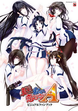 真剣で私に恋しなさい！A　ビジュアルファンブック [KADOKAWA]