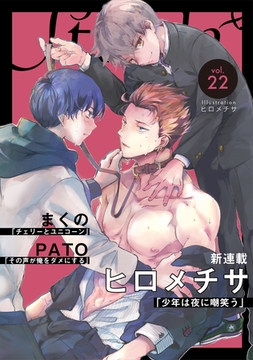 Strada＋ vol.22 [道玄坂書房]