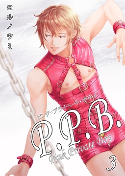 P.P.B.-Pink Private Boy-《分冊版（3）》 [オフィス漫]