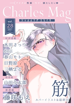 Charles Mag ‐えろイキ‐ vol.28(25) [メディアソフト]