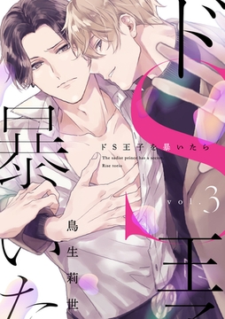 ドS王子を暴いたら3 [メディアソフト]