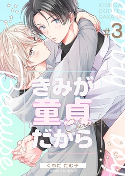 きみが童貞だから　3巻 [Bコミ]