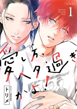 愛し方、ヘタ過ぎかよ！【描き下ろしおまけ付き特装版】 [シーモアコミックス]