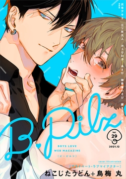 B.Pilz ｖｏｌ．29 [ブライト出版]