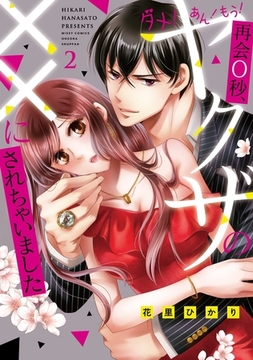 ダメ！あん！もう！再会0秒、ヤクザの××にされちゃいました 2 [宙出版]