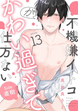 不機嫌イトコがかわい過ぎて仕方ない(13)　side直樹 [英和出版社]