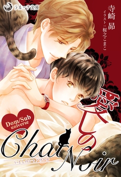 愛しのChat Noir [株式会社シーラボ]
