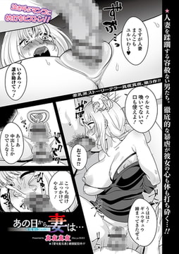 あの日から妻は…〜乱暴にして〜 [一水社]