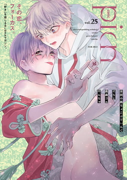 comic picn vol.25 [ジーオーティー]