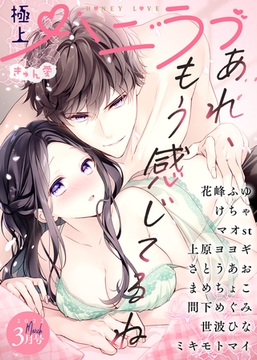 極上ハニラブ 2022年3月号【きゅん愛】 [KATTS]