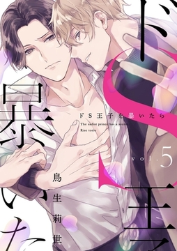 ドS王子を暴いたら5 [メディアソフト]