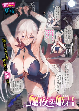 艶夜の姫君 [ジーオーティー]