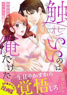 触れていいのは俺だけだ～仮初めの恋人はスパダリ社長～【単行本版】【描き下ろし付】 [ジュリアンパブリッシング]