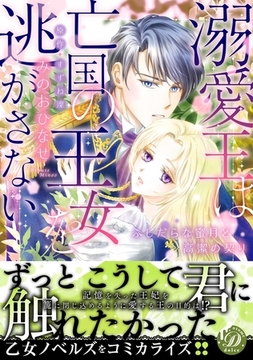 溺愛王は亡国の王女を逃がさない～ふしだらな蜜月と高潔の契り～ [乙女ドルチェ・コミックス]