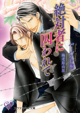絶対者に囚われて [ジュリアンパブリッシング]
