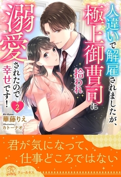 人違いで解雇されましたが、極上御曹司に拾われ溺愛されたので幸せです！【２】 [ジュリアンパブリッシング]