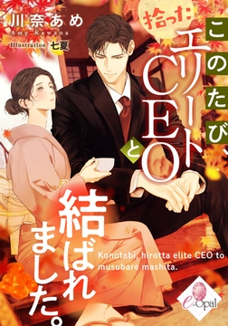 このたび、拾ったエリートＣＥＯと結ばれました。 [プランタン出版]