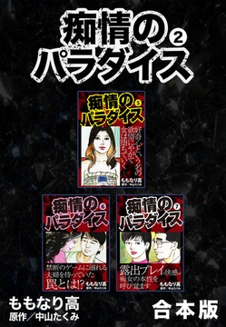 痴情のパラダイス【合本版】2 [ナンバーナイン]