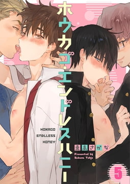 ホウカゴ・エンドレスハニー 5 [パチカ]